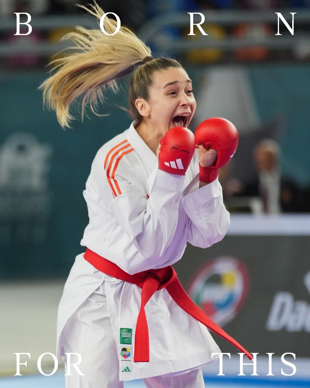 Karate Gi kumite Adilight Premier League | Adidas - Image 8