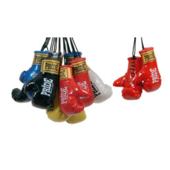 Mini boksarske rokavice Pride – MiniGloves