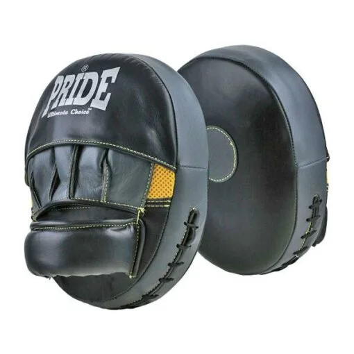 Focus mitts Air Pride