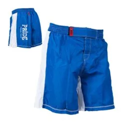 MMA shorts American style blue with embroidered logo Pride 